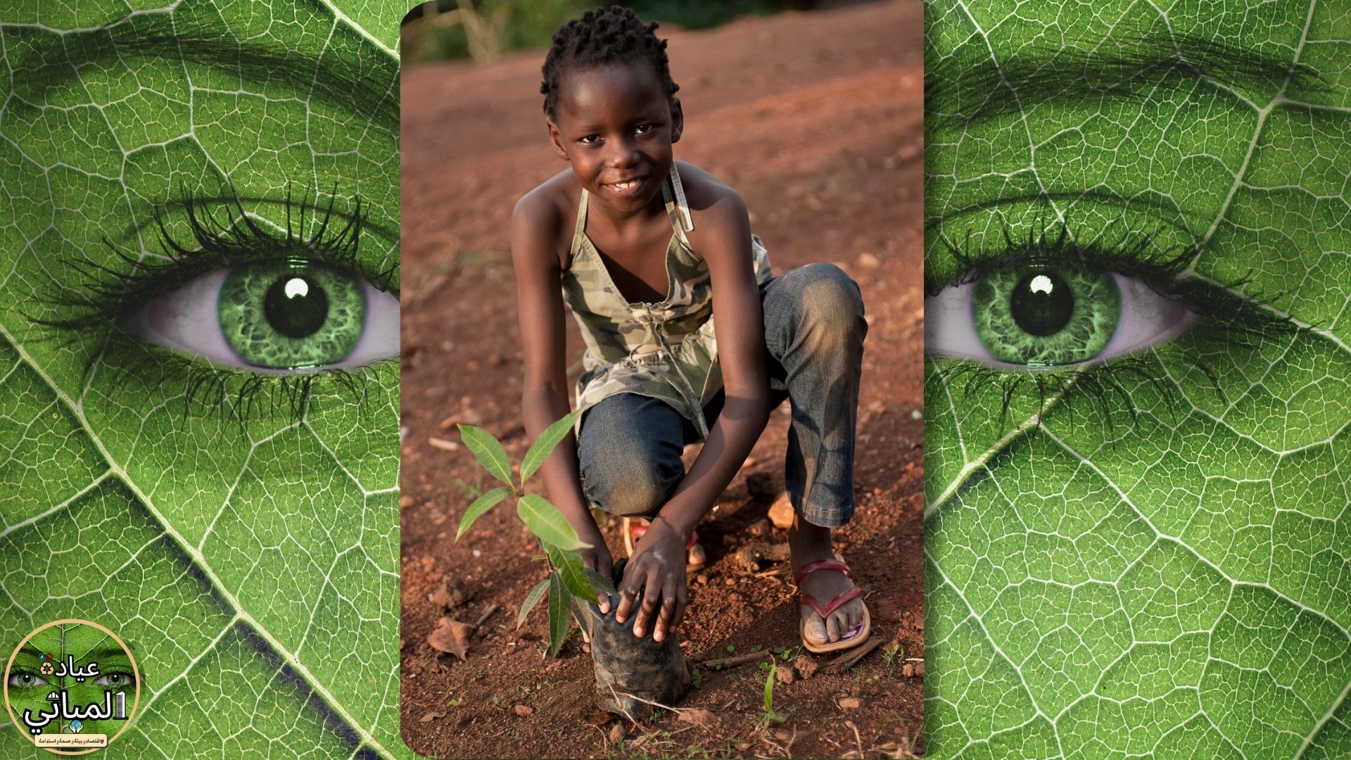 الأشجار والنباتات: كنوز الطبيعة المتجددة وسر الحياة للبيئة والبشر