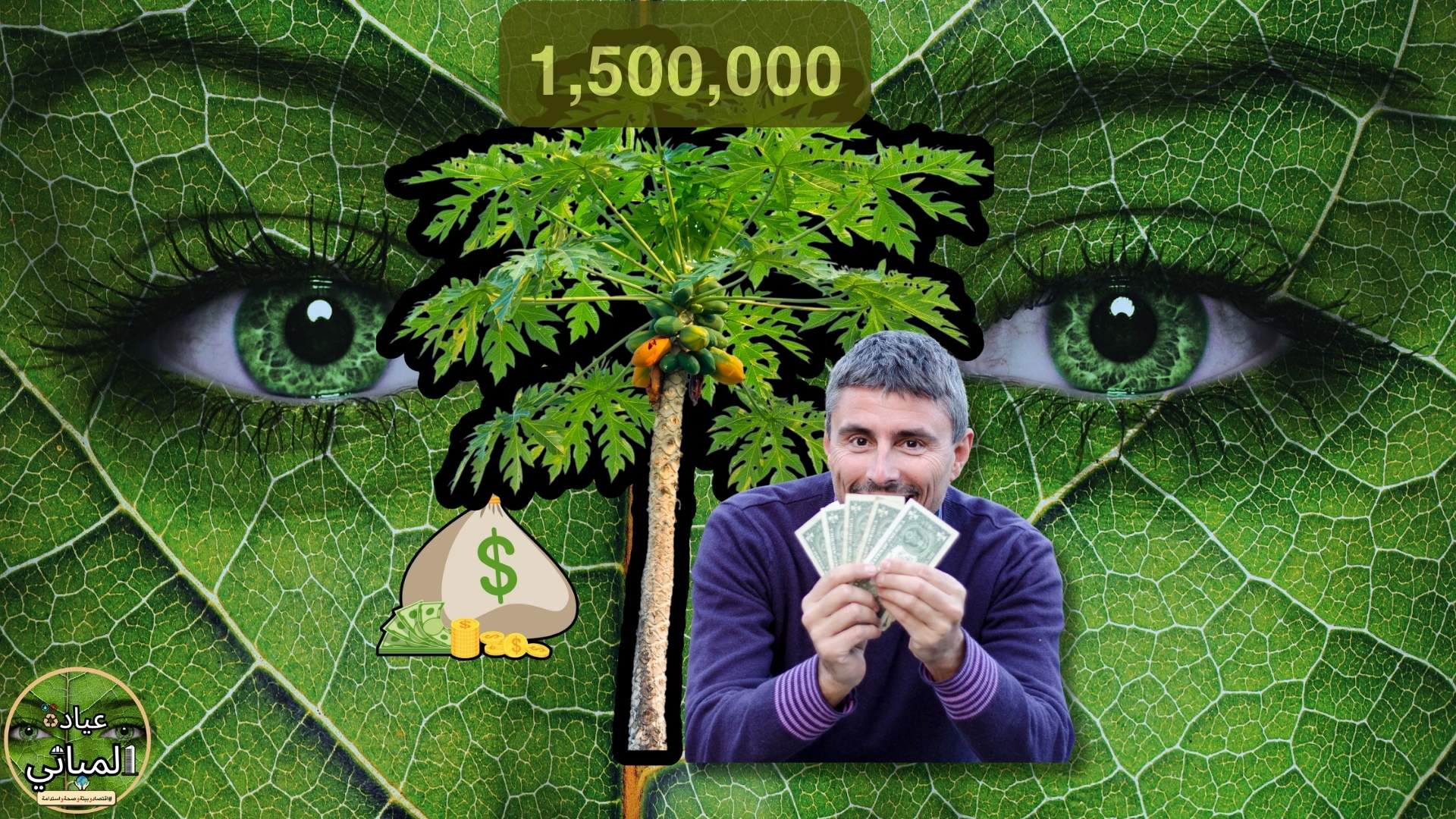 ثروة من مخلفات اشجار الباباي